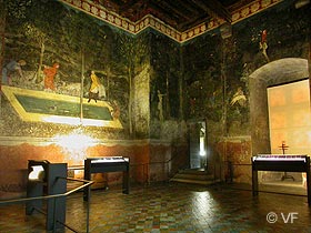 Palais vieux Palais des Papes Avignon © VF