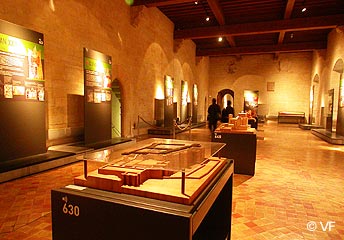 visite Palais des Papes - Palais Vieux Avignon &copy; VF  