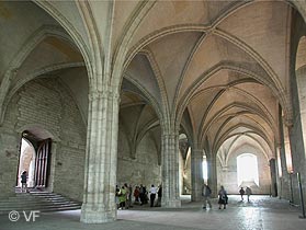 Palais vieux Palais des Papes Avignon © VF
