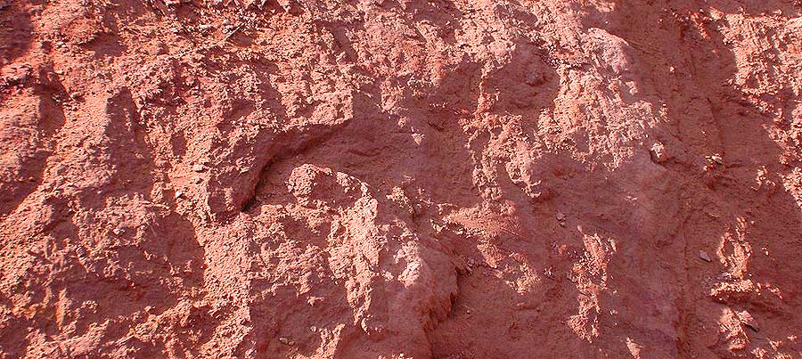 Roussillon © VF