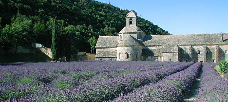 Senanque Abbey © VF