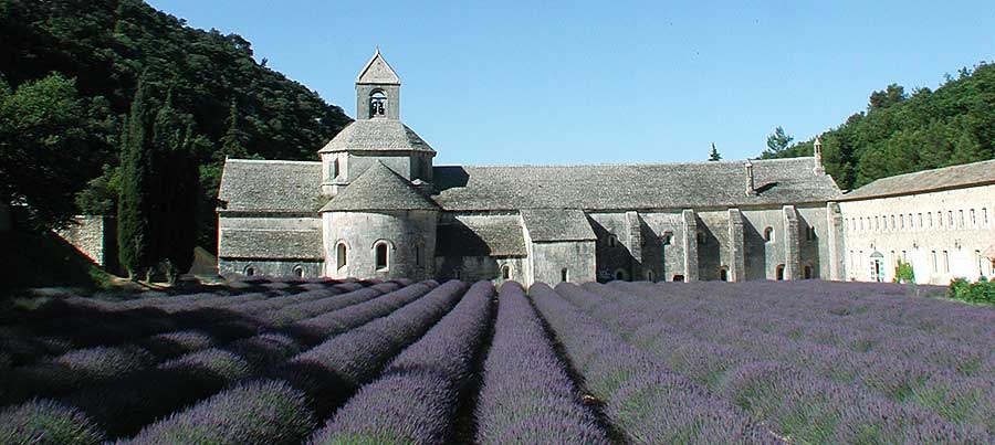 Abbaye de Sénanque © VF