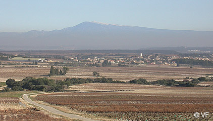 Tavel Vin village
