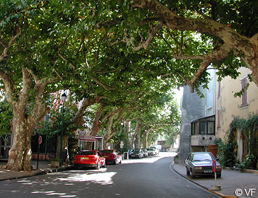 Vacqueyras