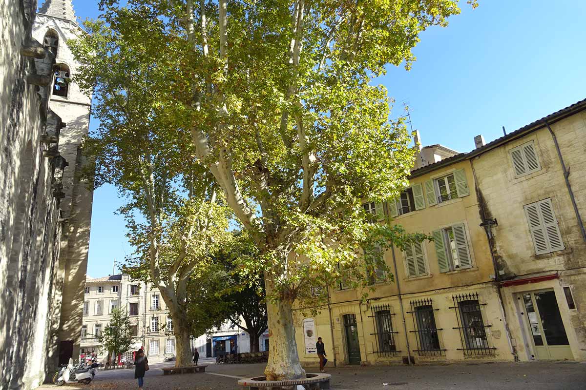 Eglise Saint Didier Avignon © VF