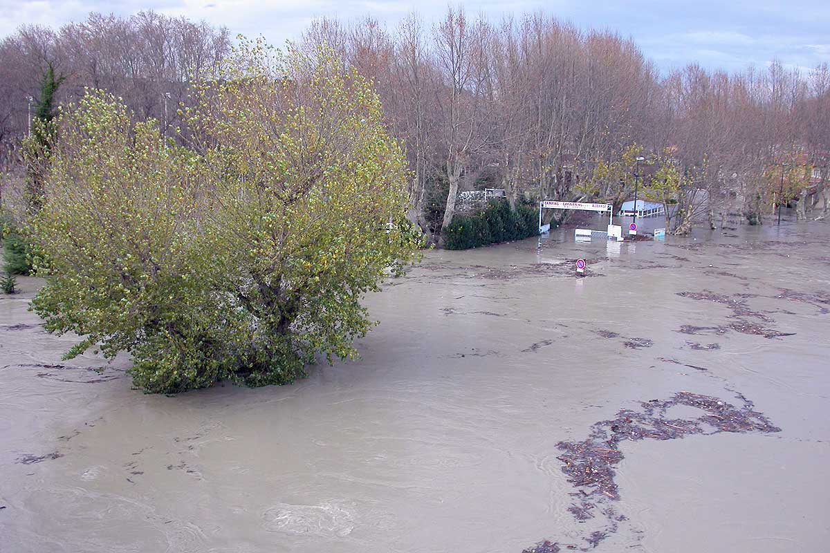 l'île de la Barthelasse inondée © VF