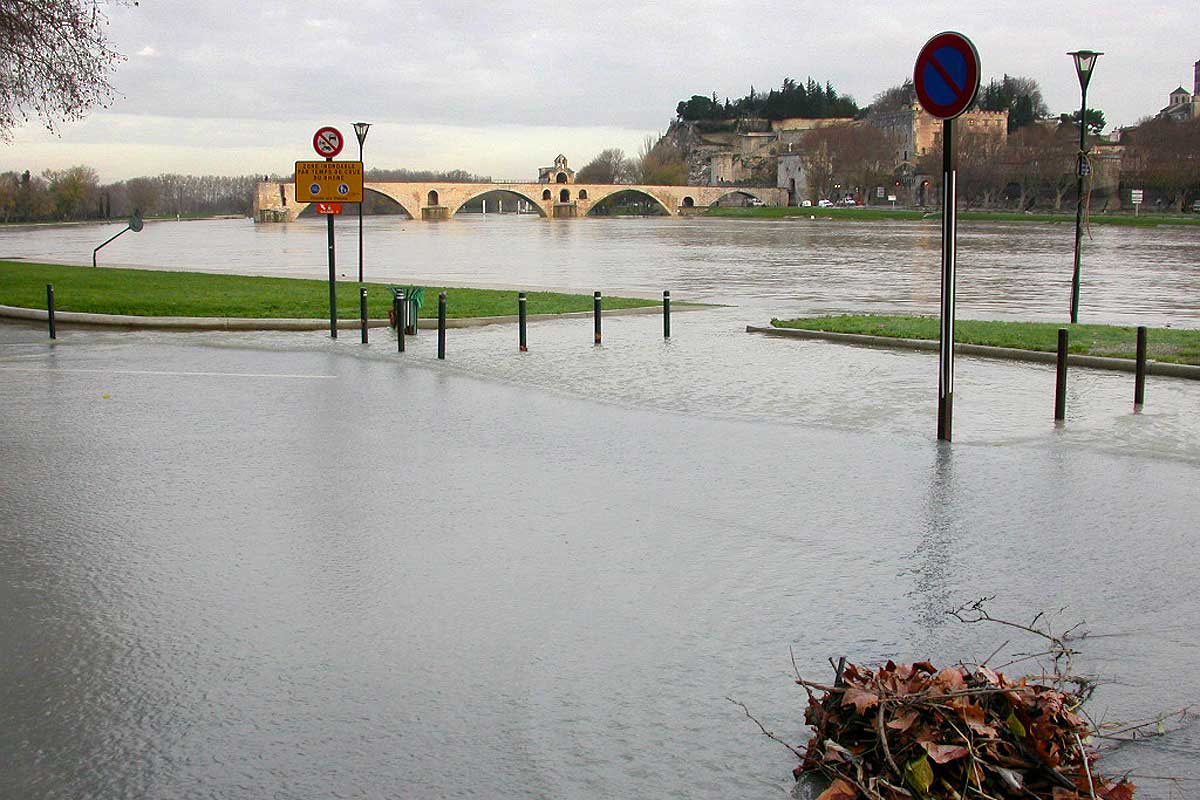 l'île de la Barthelasse inondée © VF