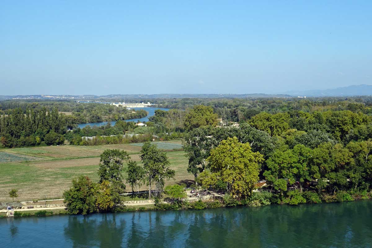 Vue sur Île de la Barthelasse depuis le Rocher des Doms © VF