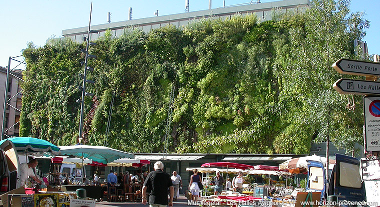 Mur vegetal Avignon  © VF