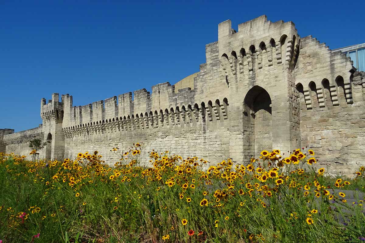 Remparts d'Avignon boulevard Limbert © VF