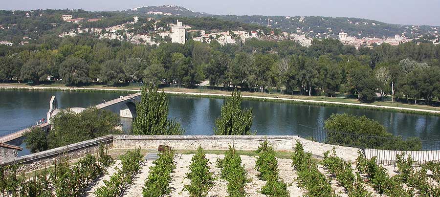 Le Rocher des Doms en Avignon | Photos Horizon Provence