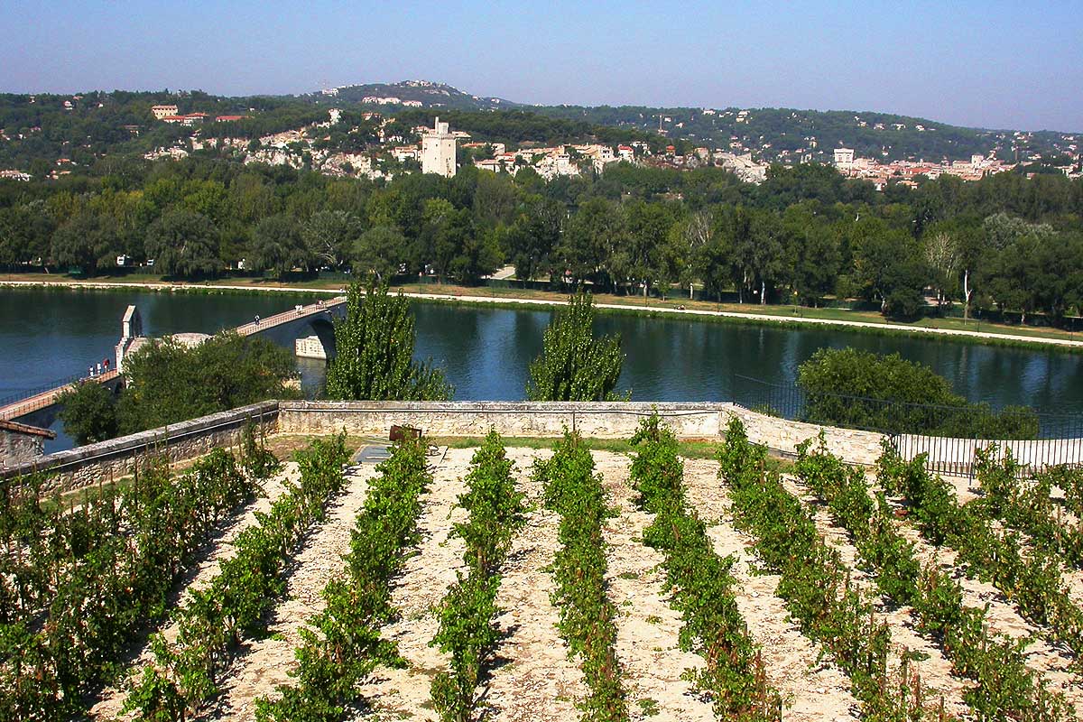 Vignobles du Rocher des Doms © VF