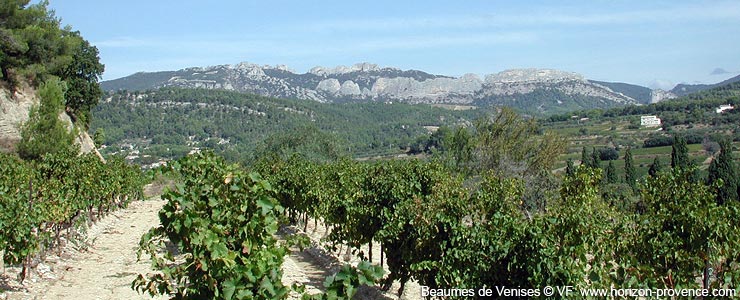 Muscat Beaumes de Venise