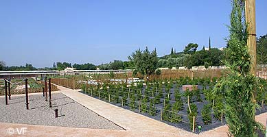 Caumont Jardin Romain
