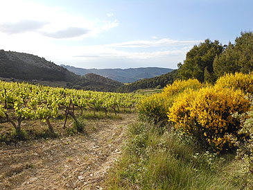 La Roque Alric