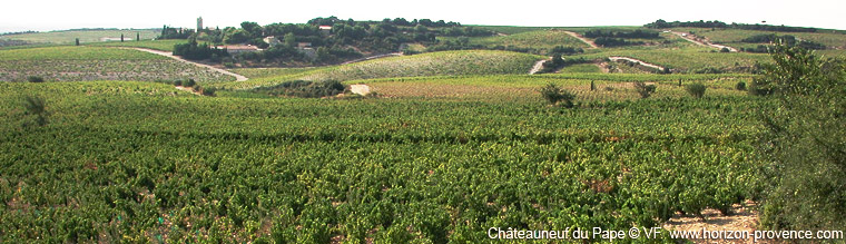 Châteauneuf du Pape Provence