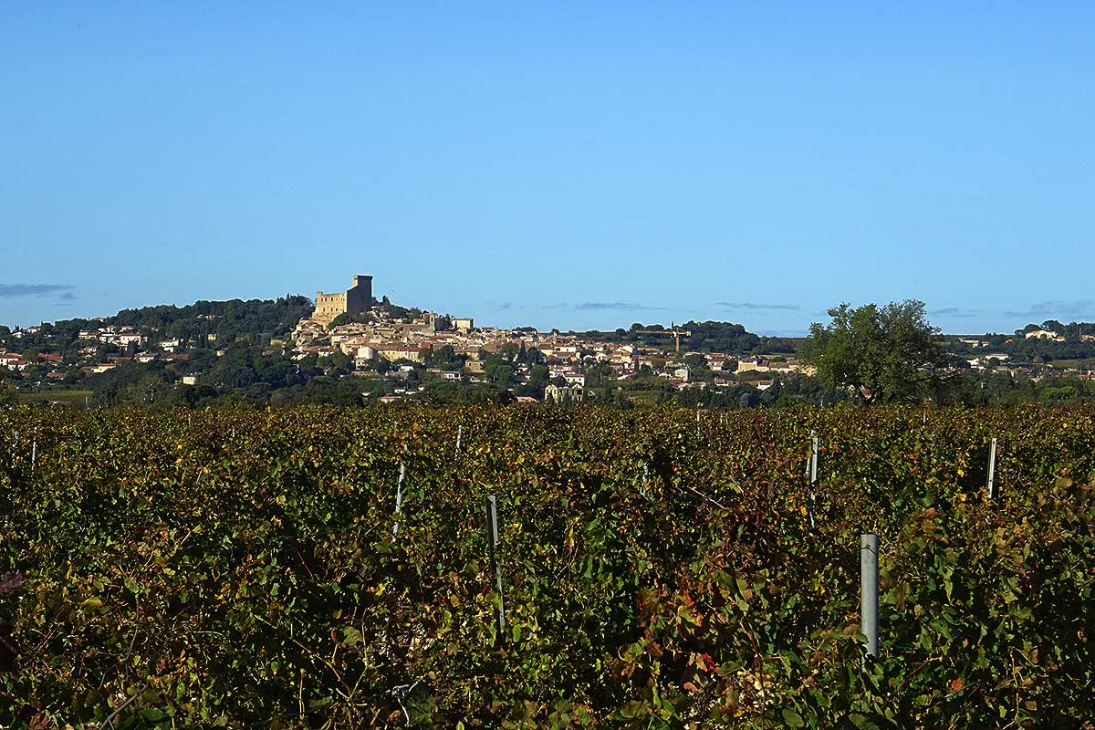 Châteauneuf du Pape © VF