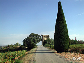 Châteauneuf du Pape photos