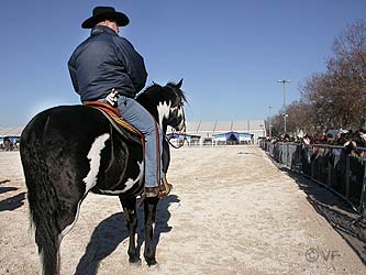 Cheval Passion Avignon © VF