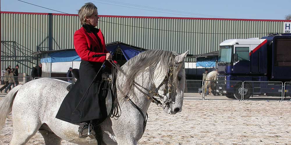 Cheval Passion Avignon