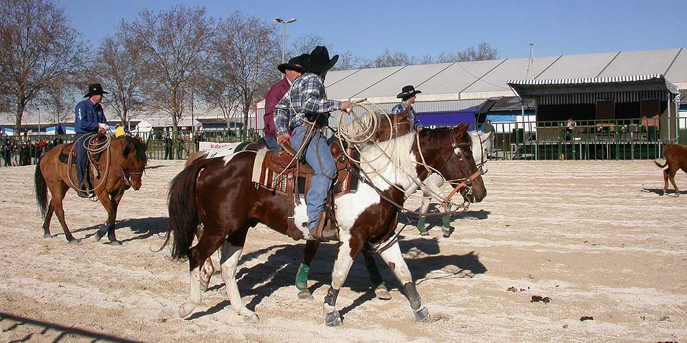 Cheval Passion Avignon