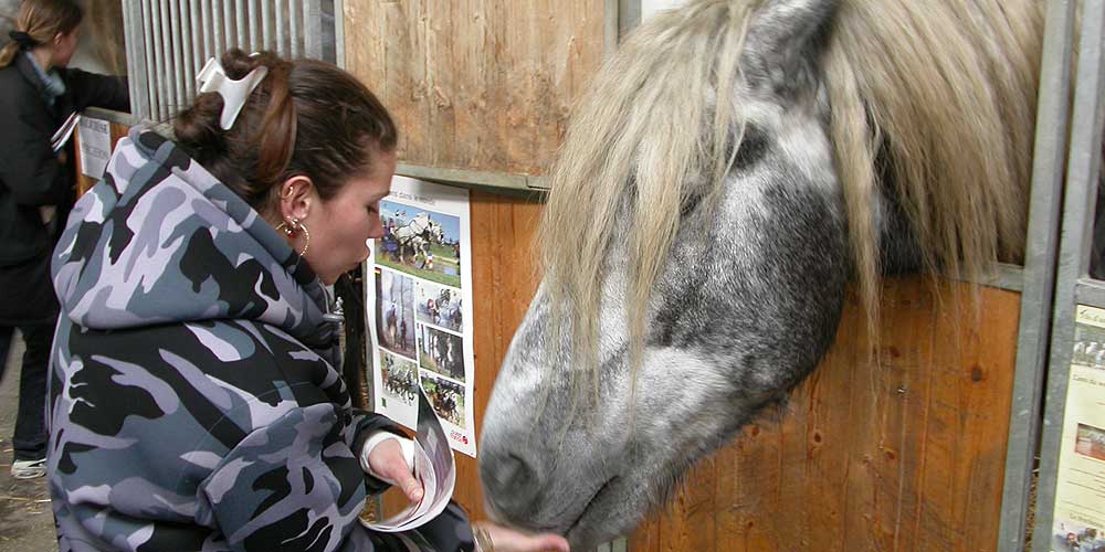 Cheval Passion Avignon