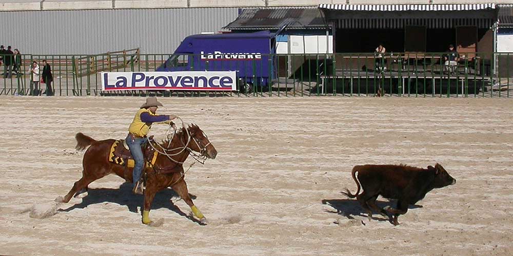 Cheval Passion Avignon