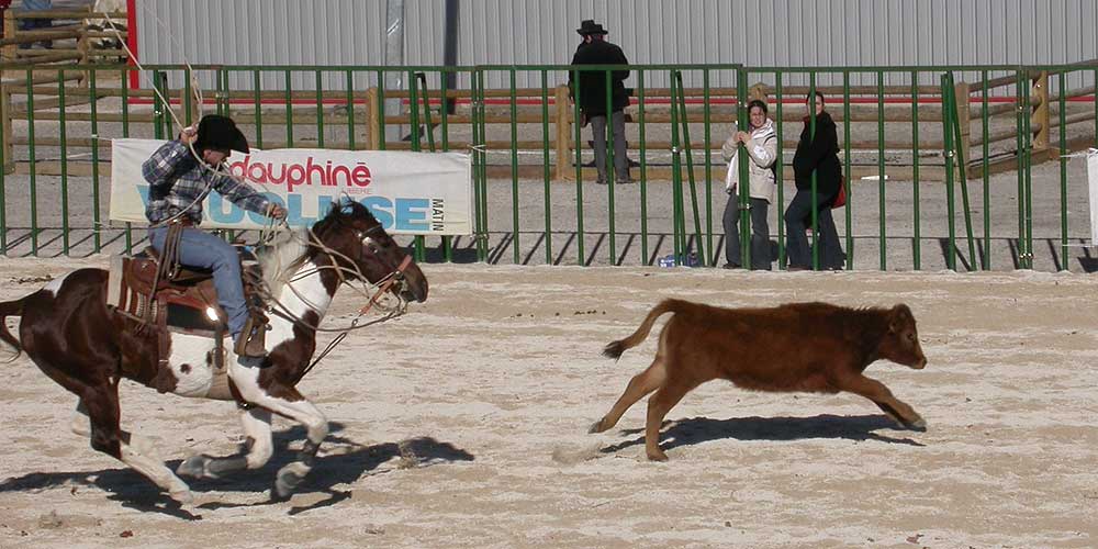 Cheval Passion Avignon