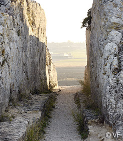 Acqueduc du Barbegal