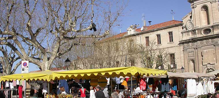 Provence Market in  Forcalquier