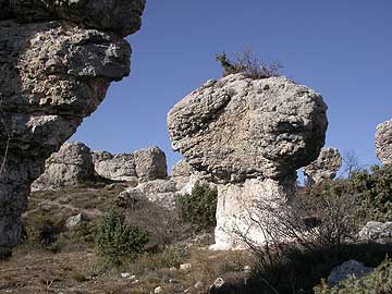 Les Mourres Forcalquier Provence