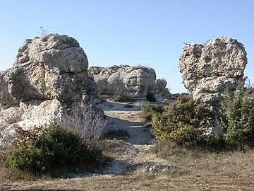 Les Mourres Forcalquier Provence