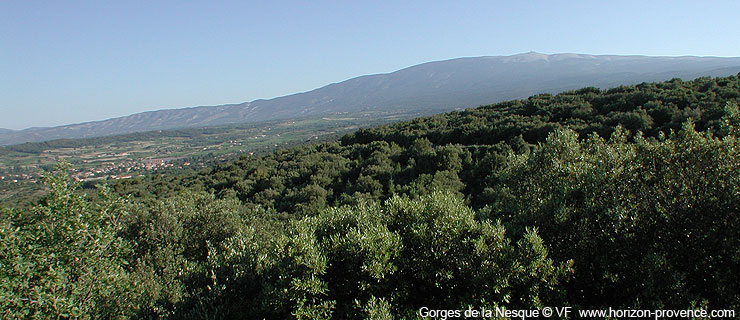 Les Gorges de la Nesque