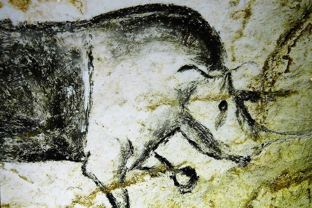 Grotte Chauvet