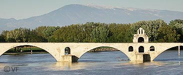 le pont d'Avignon © VF 