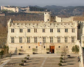 Petit palais d'Avignon © VF