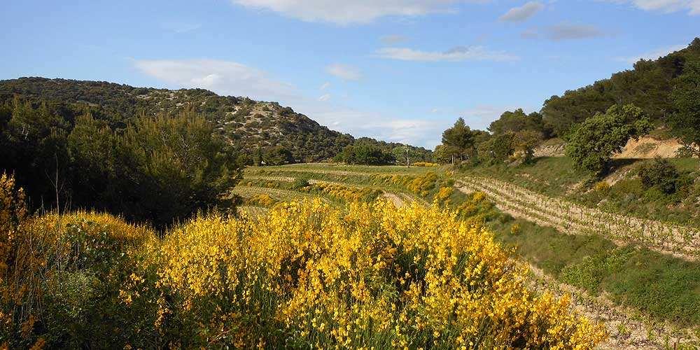 La Roque Alric paysages © VF