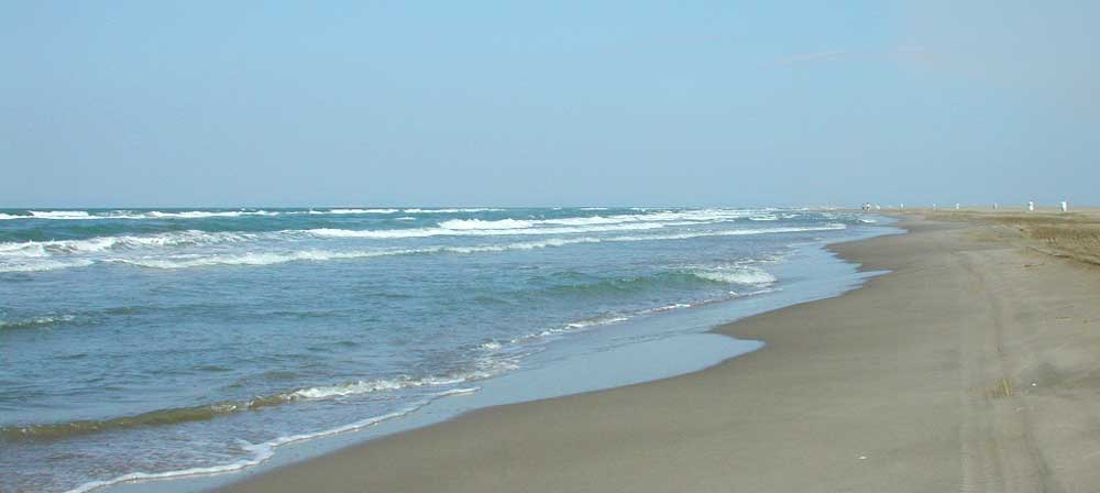 Le Grau du Roi - Espiguette beach