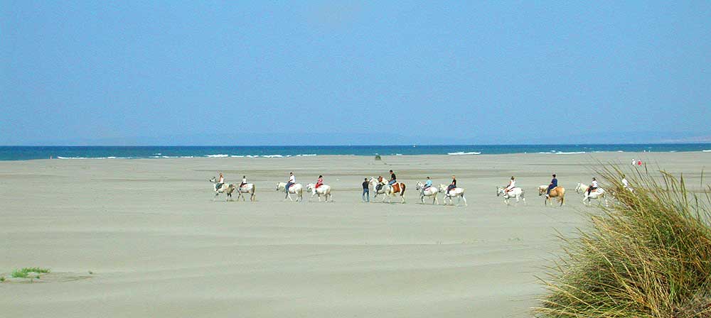 Le Grau du Roi - Espiguette beach