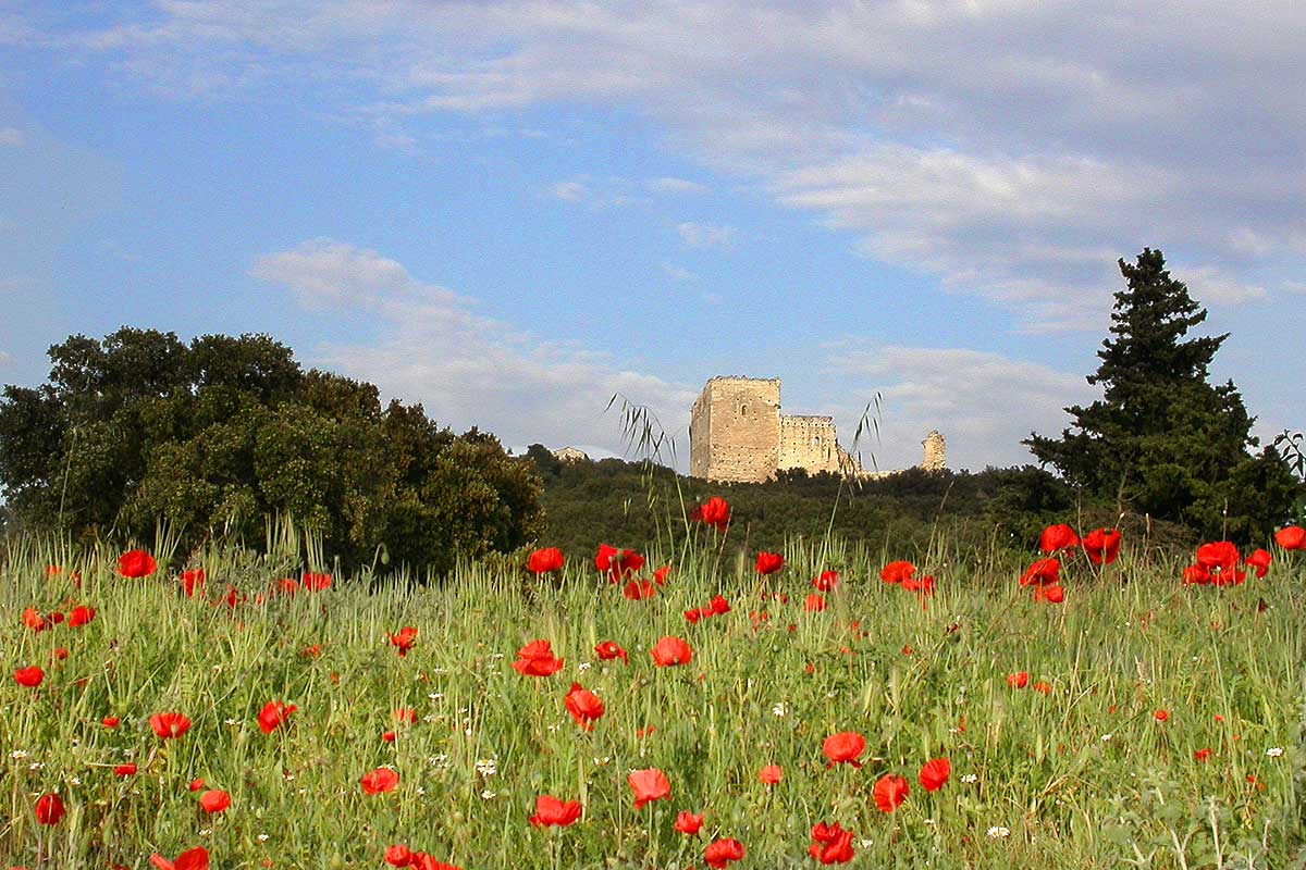 Le Château de Thouzon ancien monastère fortifié médiéval