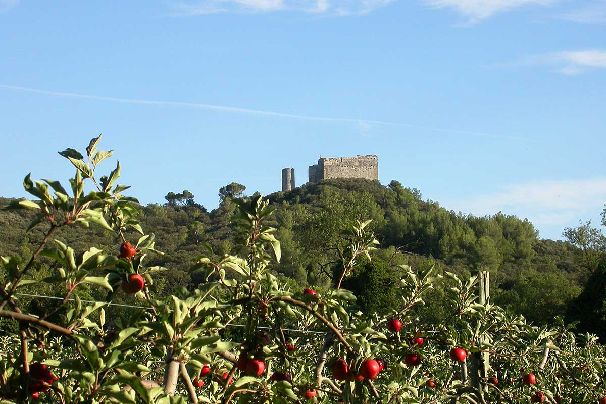 La Colline de Thouzon au Thor