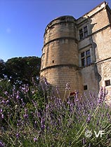 Château Lourmarin