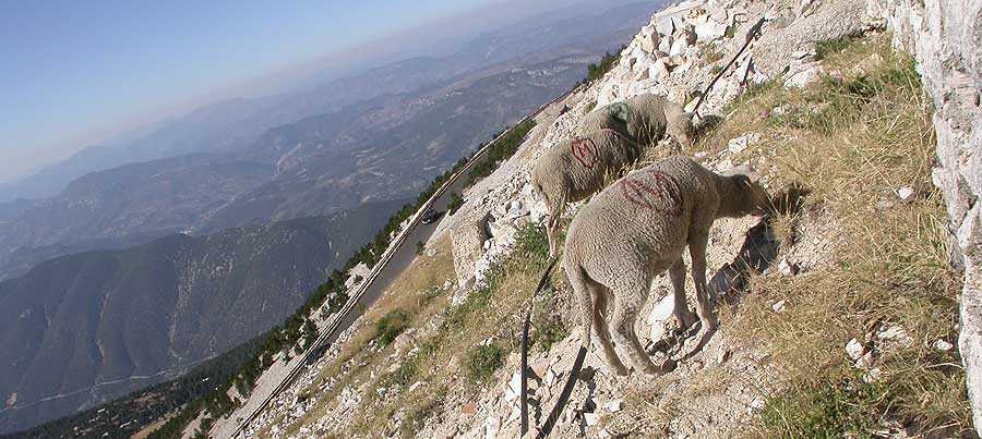 Le Mont Ventoux