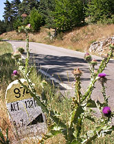 Vélo Mont Ventoux Bédoin © VF
