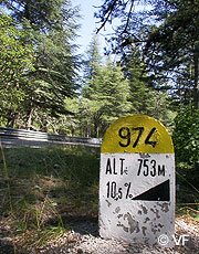 Vélo Mont Ventoux Bédoin © VF