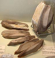 Musée Vachères archéologie © VF