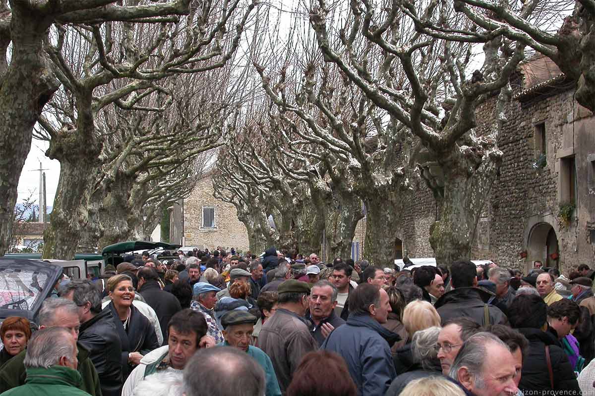 Marché aux Truffes des Richerenches