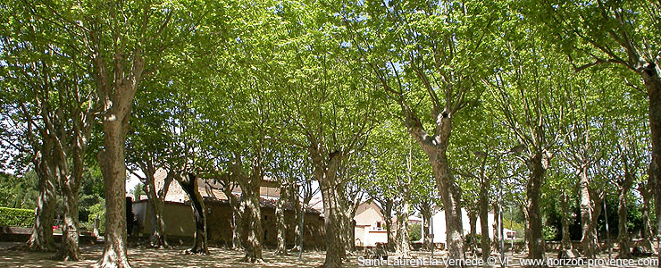 Saint-Laurent-la-Vernède Place des Platanes