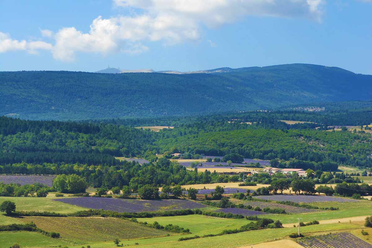 Sault Mont Ventoux