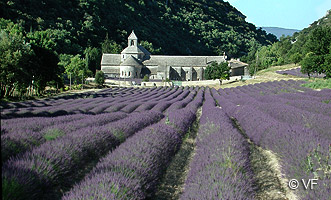 Abbaye de Sénanque © VF